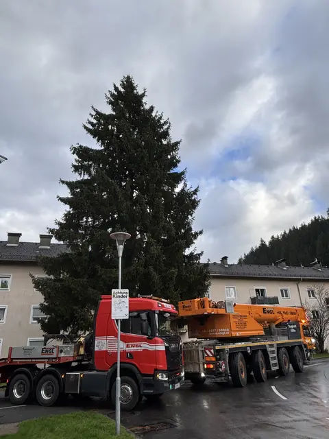 Foto: Nikolaus Kogler