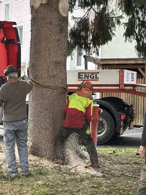 Foto: Nikolaus Kogler