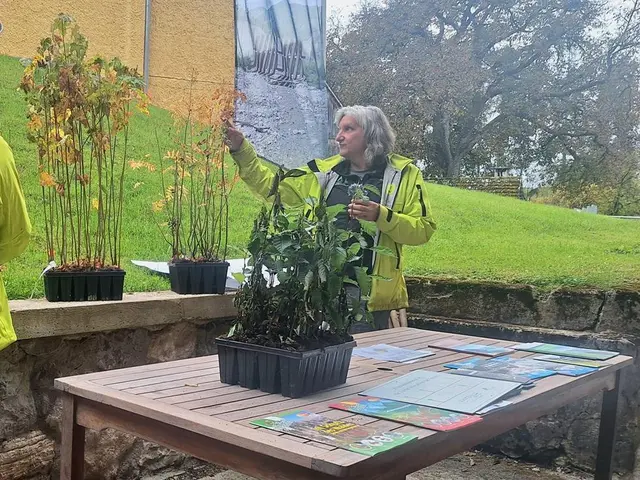 Ziel des Gemeinschaftsprojektes ist es, den Kindern frühzeitig Bewusstsein für die Wichtigkeit des Schutzwaldes, Naturgefahren und die Bedeutung von Schutzmaßnahmen zu vermitteln.

 | Foto: KLAR! Inneres Salzkammergut