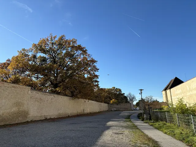 Foto: Luca Arztmann/MeinBezirk