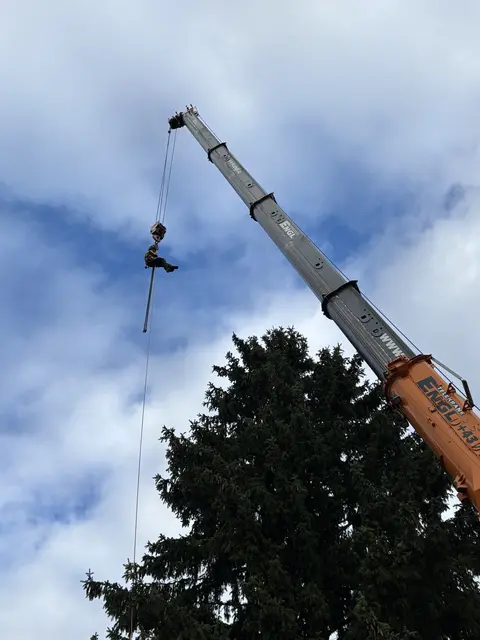 Foto: Nikolaus Kogler