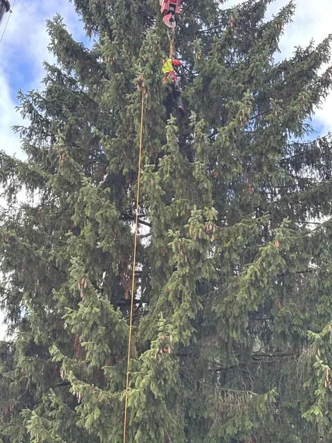 Foto: Nikolaus Kogler