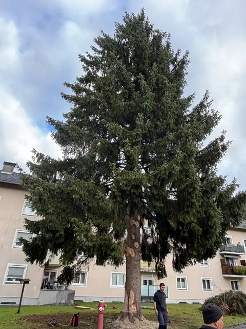 Foto: Nikolaus Kogler