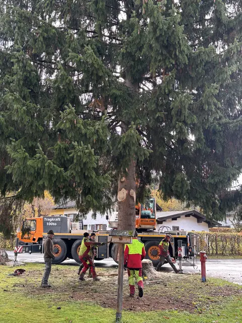 Foto: Nikolaus Kogler