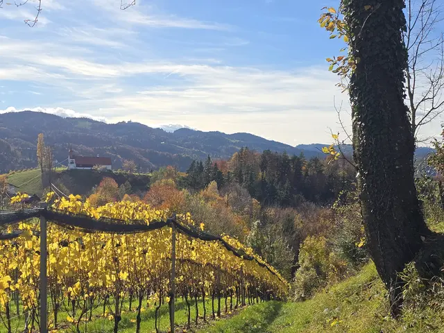 Hochdruckeinfluss sorgt in Österreich für sonniges und trockenes Herbstwetter mit Temperaturen bis zu 17 Grad. | Foto: Roland Schranz