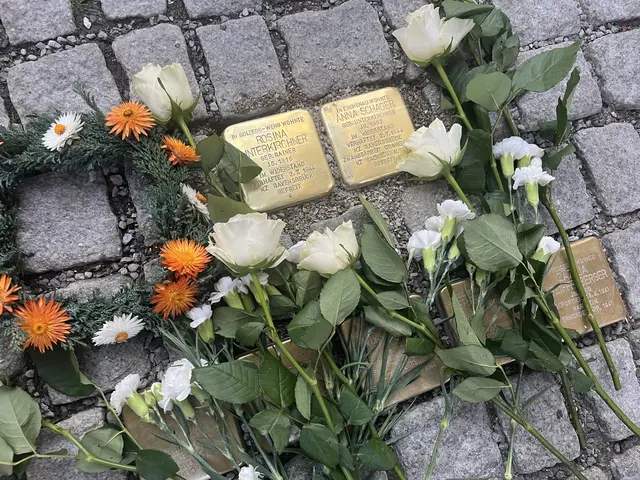 Die Stolpersteine erinnern an die Frauen und ihren geleisteten Widerstand. | Foto: MeinBezirk