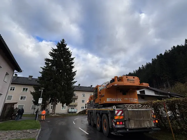 Foto: Nikolaus Kogler