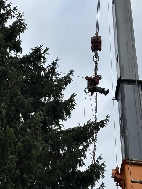 Foto: Nikolaus Kogler