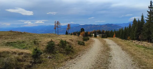 wieder bei der Ganzalm angekommen wird es schon dämmrig... | Foto: I.Wozonig