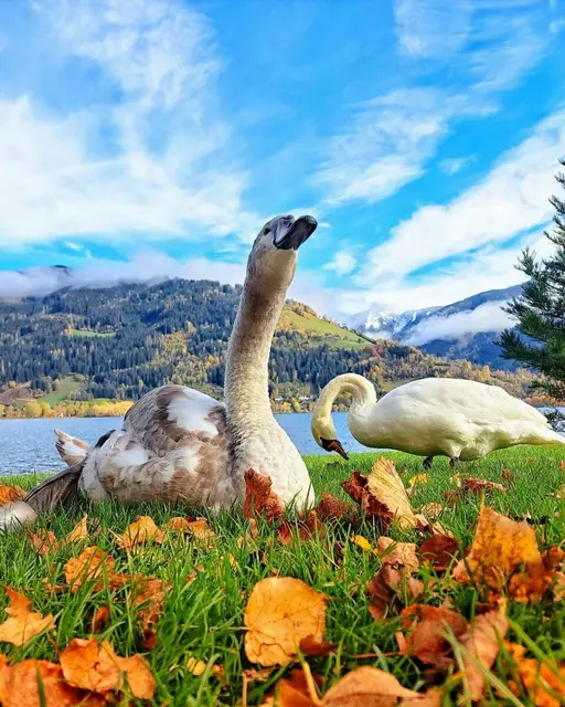 Foto: Markus Sandner