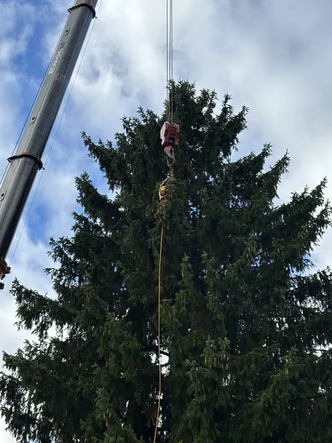 Foto: Nikolaus Kogler