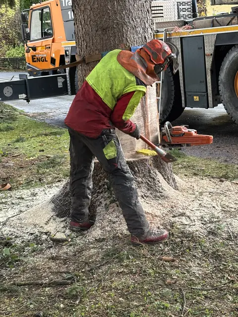 Foto: Nikolaus Kogler