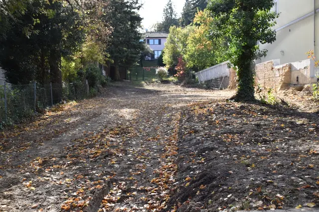 In der Pötzleinsdorfer Straße griff die Novelle nicht. | Foto: Lukas Ipirotis/MeinBezirk