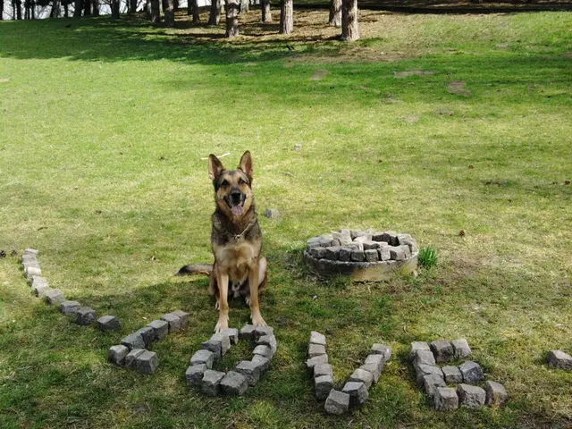 Foto: Sadiki-Peckary