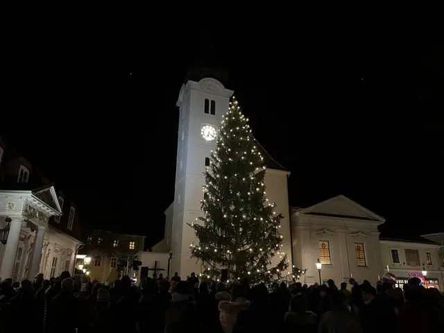 Purkersdorf in Weihnachtsstimmung | Foto: Franziska Führer