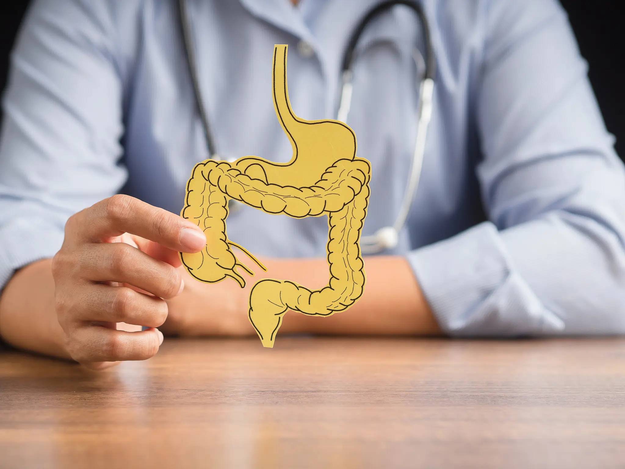 MeinMed Webinar: What the microbiome reveals