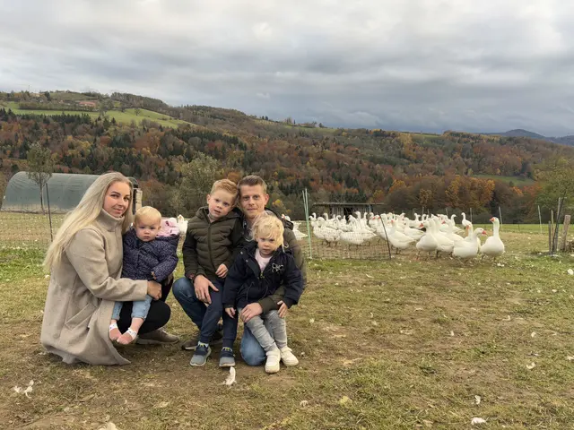 Bei Melanie und Dominik Blamauer bekommen die Gänse nur Gras zum Futtern und ein wenig Kraftfutter | Foto: Lauren Fahrenberger / MeinBezirk