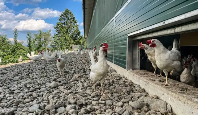 Foto: BIOHOF Schnitzer