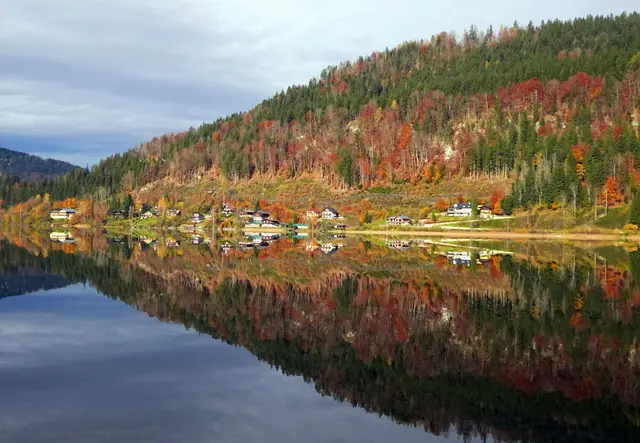 Die herbstlichen Farben des Waldes spiegeln sich im Wasser.