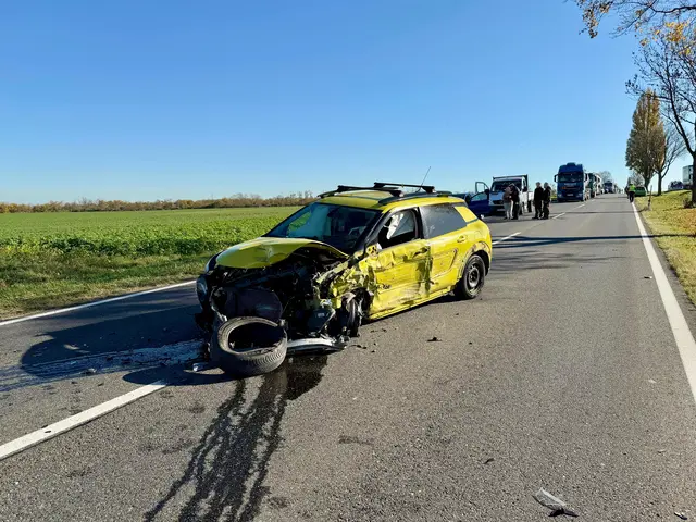 Die ausgelaufenen Betriebsmittel wurden gebunden. | Foto: FF Schwechat