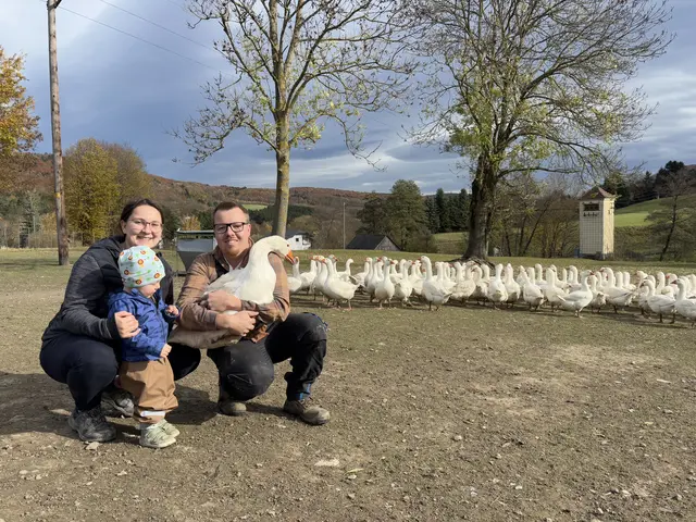 Theresa und Philipp Gaupmann führen eine von zwei Gänsefarmen im Wienerwald | Foto: Lauren Fahrenberger / MeinBezirk