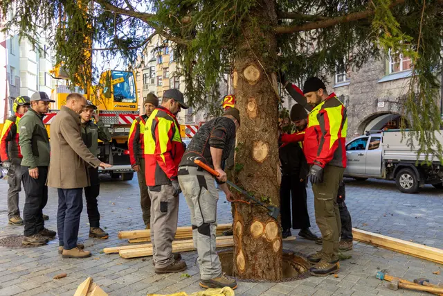 Präzisionsarbeit in der Altstadt: Mitarbeitende des Amtes für Wald und Natur beim Aufstellen des Innsbrucker Christbaums. | Foto: D. Jäger