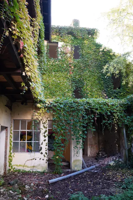 Der Innenhof des Gebäudes. | Foto: Birgit Gehrke