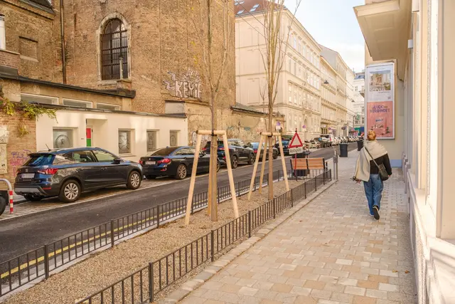 Zehn Blaseneschen wurden bereits gepflanzt, sechs Kornelkirschenbäume sollen schon bald folgen. | Foto: BV8