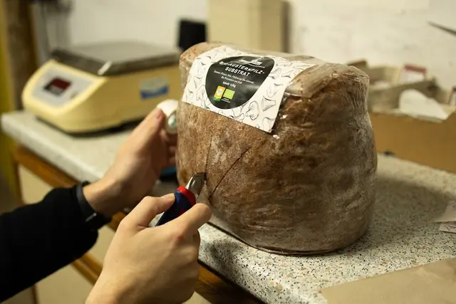 Mit einem Set von Biohof Schölli steht dem selbst gezogenen Pilzgenuss nichts mehr im Weg.