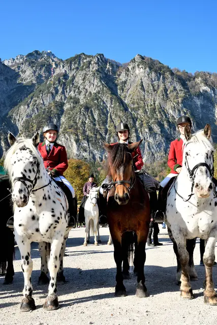 Der Leonhardiritt hat seit Langem eine Tradition in Grödig. | Foto: TVB Grödig