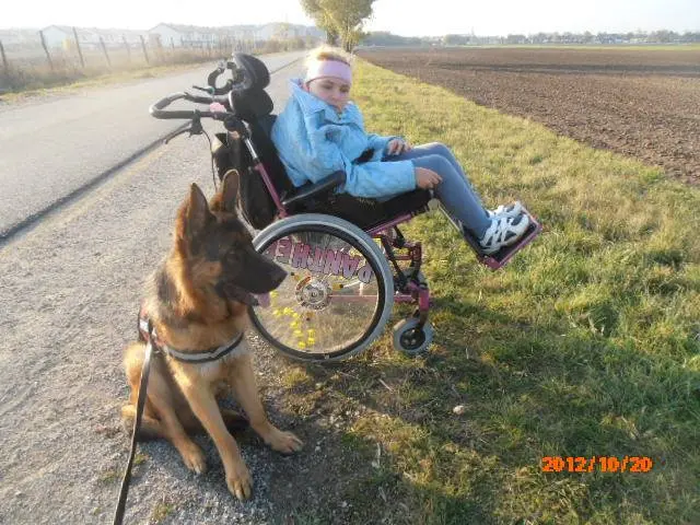 Quiero war auch ein super Begleithund.  | Foto: Sadiki-Peckary