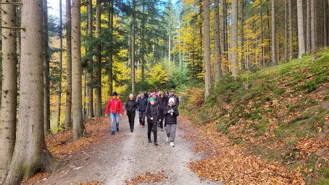 Eine Wandergruppe war am Hundertwasserweg im Kamptal unterwegs. | Foto: Stadtgemeinde Zwettl