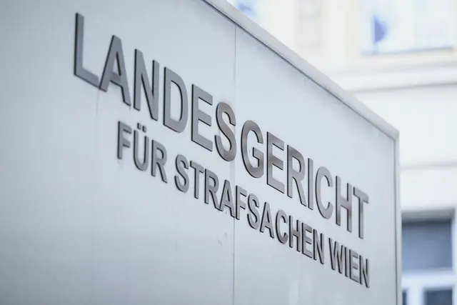 Das Gericht sah die Frau aufgrund psychiatrischer Gutachten zum Tatzeitpunkt als nicht zurechnungsfähig an. (Archiv) | Foto: Max Slovencik / EXPA / picturedesk.com