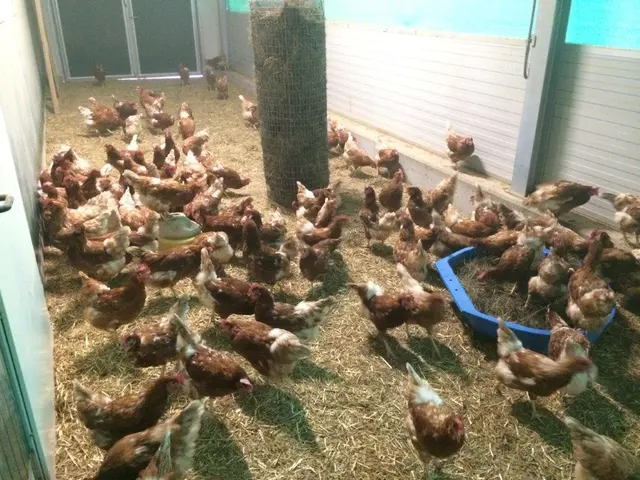 Dieter Obereder: "Die Landwirte in Kärnten sind mit den Biosicherheitsmaßnahmen bestens vertraut. Sie sind alle geschult und können mit dieser Situation gut umgehen." | Foto: Privat