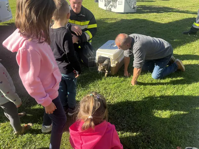 Am Boden wurde das Kätzchen in Empfang genommen. | Foto: FF Obervogau