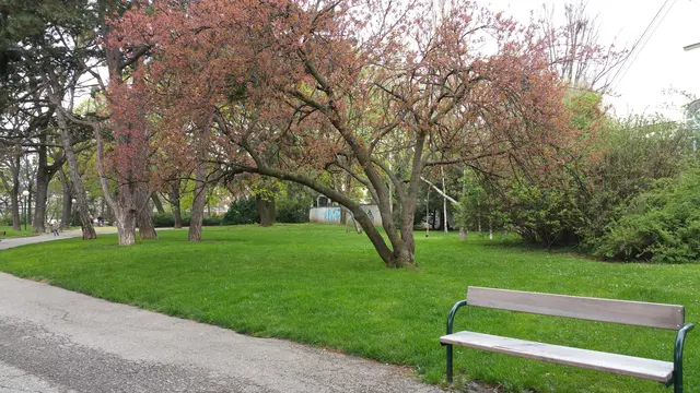In diesem Park wurde ein Elfjähriger am Dienstag schwer verletzt. (Archiv)