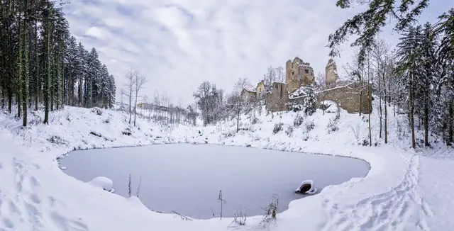 Windhaag bei Perg – Blick auf die Burgruine im Winter. | Foto: Gerald Riegler