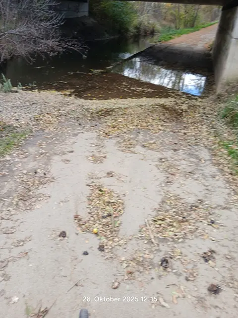 Ein Biberdamm ist vermutlich die Ursache – das sieht man dort sehr deutlich. | Foto: Leo Rohringer