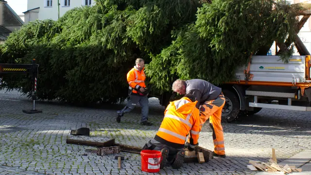 Mitarbeiter des Bauhofes beim Aufstellen des Christbaumes am Freistädter Hauptplatz. | Foto: MeinBezirk/Justin Pröll