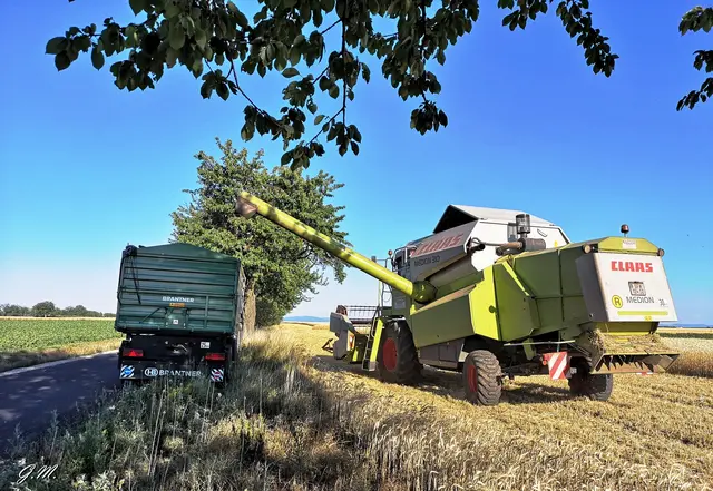 Ohne Bauern wäre das Regal binnen zwei Tagen leer! | Foto: MeinBezirk