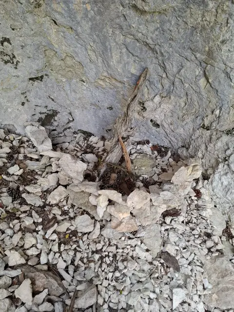 Eine Feuerstelle. | Foto: Simon Schiefer