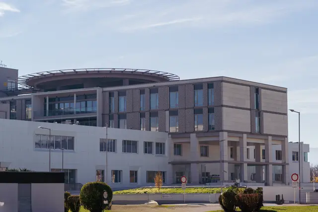 Aktuell soll sich das "Pflegekind" im Spital befinden. | Foto: Santrucek