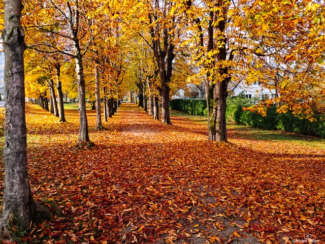 Das Wochenende bleibt in der Steiermark weiterhin herbstlich.  | Foto: Gerhard Woger