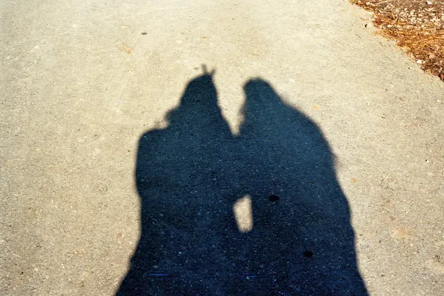 Die drei schönsten Schattenbilder aus dem Bezirk werden in der Bezirksvorstehung prämiert. Im Laufe des Abends haben die Besucher die Möglichkeit, einen Publikumspreis zu vergeben.  | Foto: Matthias Pandrea/MeinBezirk