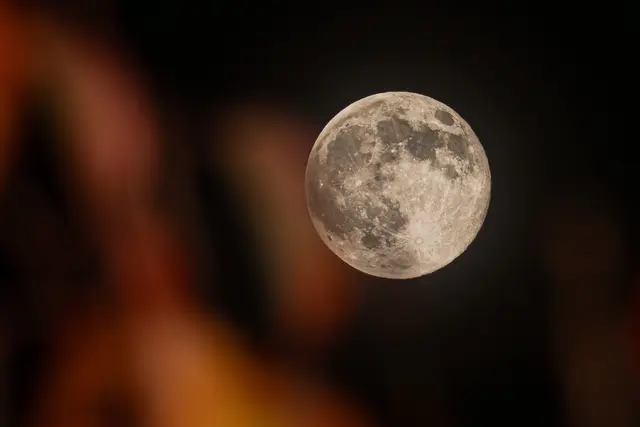 Der Vollmond vom 5.11.2025 im herbstlichen Kirschbaum