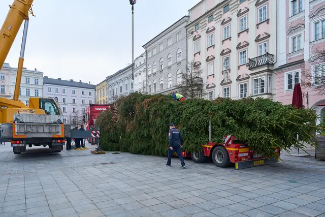 Foto: Brugger Andreas/Martin Hauer