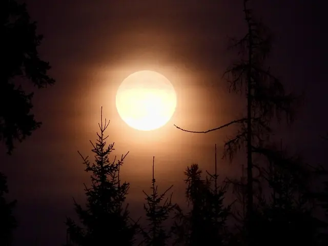 Der nächste Vollmond findet im September 2026 statt.