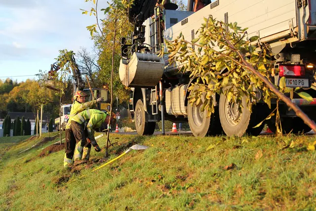 250 neue Bäume sorgen für Verbesserung des Klimas. | Foto: Stadt Villach/Kompan