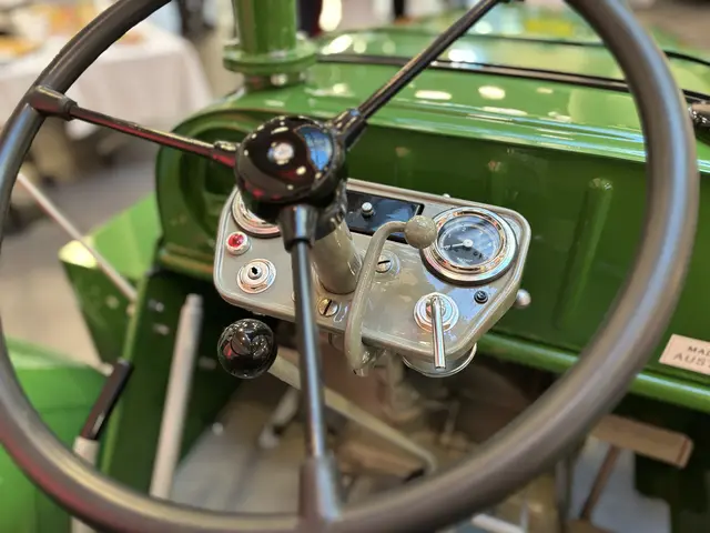 Foto: Andreas Pölzl/MeinBezirk