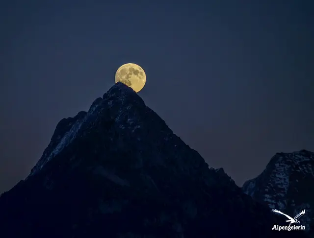 Der Begriff "Supermond" ist eher umgangssprachlich zu verstehen, es wird in der wissenschaftlichen Astronomie nicht verwendet.  | Foto: Janet Bleiker - Alpengeierin 